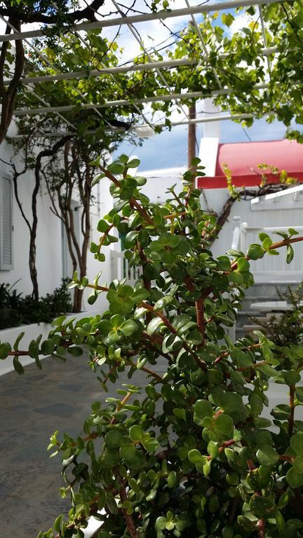 克里斯蒂娜一室公寓酒店 Mykonos Town 外观 照片